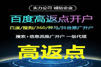 案例解读：网络推广与竞价策略